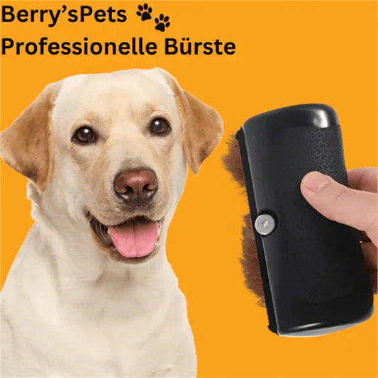 Brosse professionnelle pour animaux.