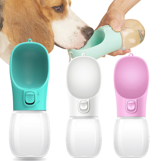 Gourde portable pour chien – Pour petits et grands chiens, chats  extérieur.