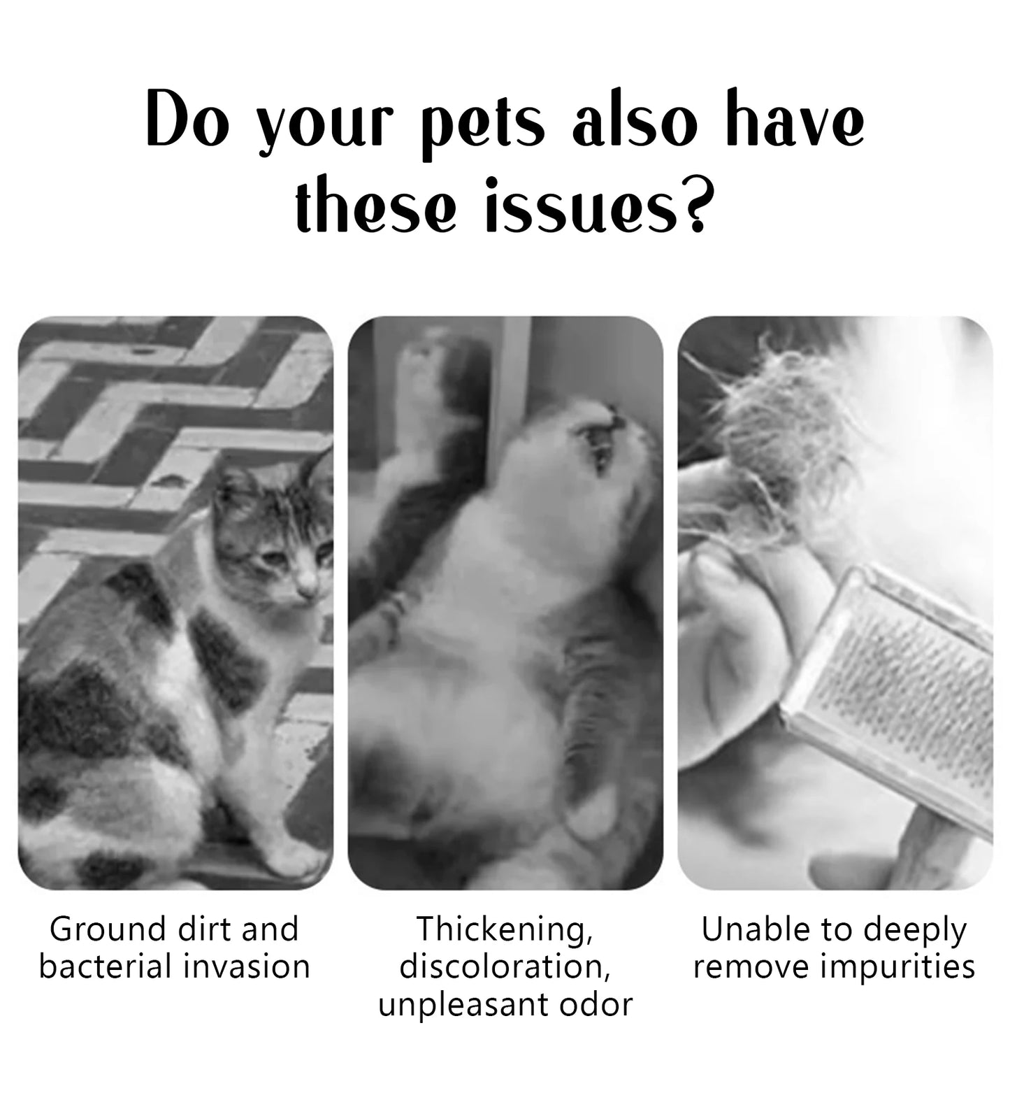 Brosse à vapeur pour animaux – Peigne de massage à tête ronde sécurisée, dents souples, vaporisateur intégré, brosse anti-perte de poils pour chiens et chats, accessoire universel pour animaux de compagnie