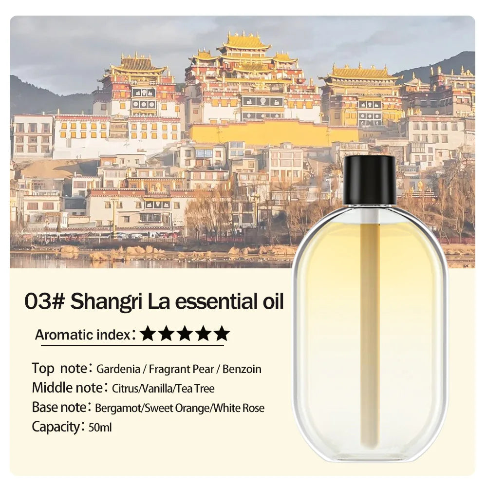 Diffuseur d’arômes portable rechargeable — Machine d’aromathérapie aux huiles essentielles, désodorisant à pulvérisation programmée (5 modes) pour éliminer les mauvaises odeurs et rafraîchir l’air.