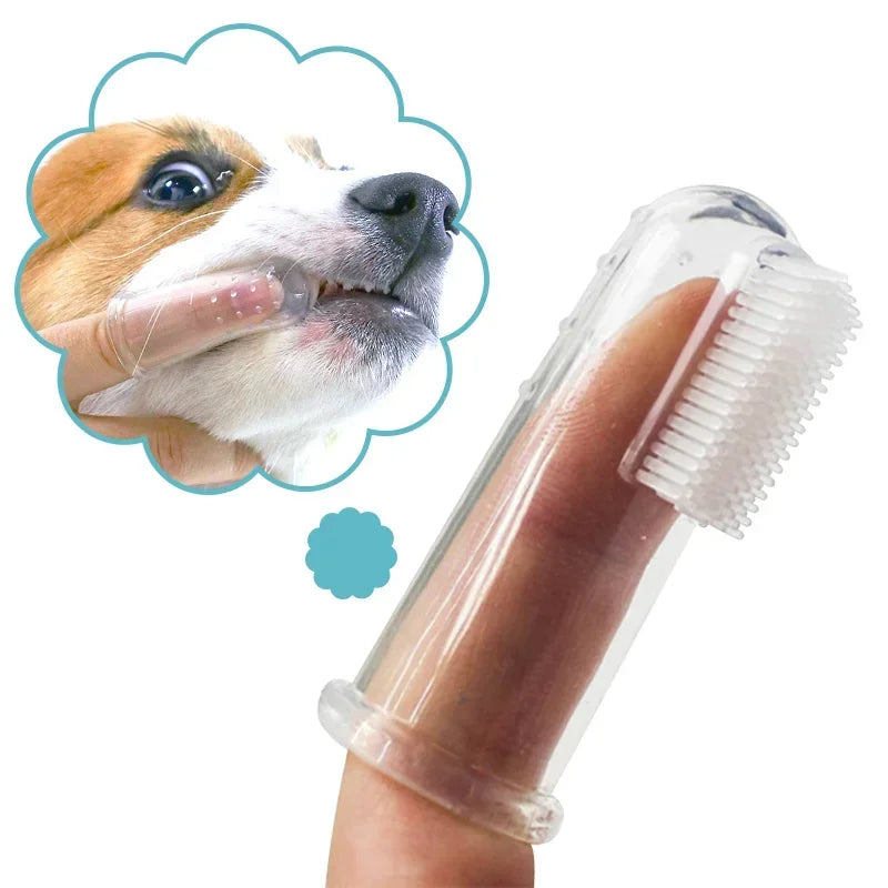 Brosse à Doigt pour Chiens et Chats