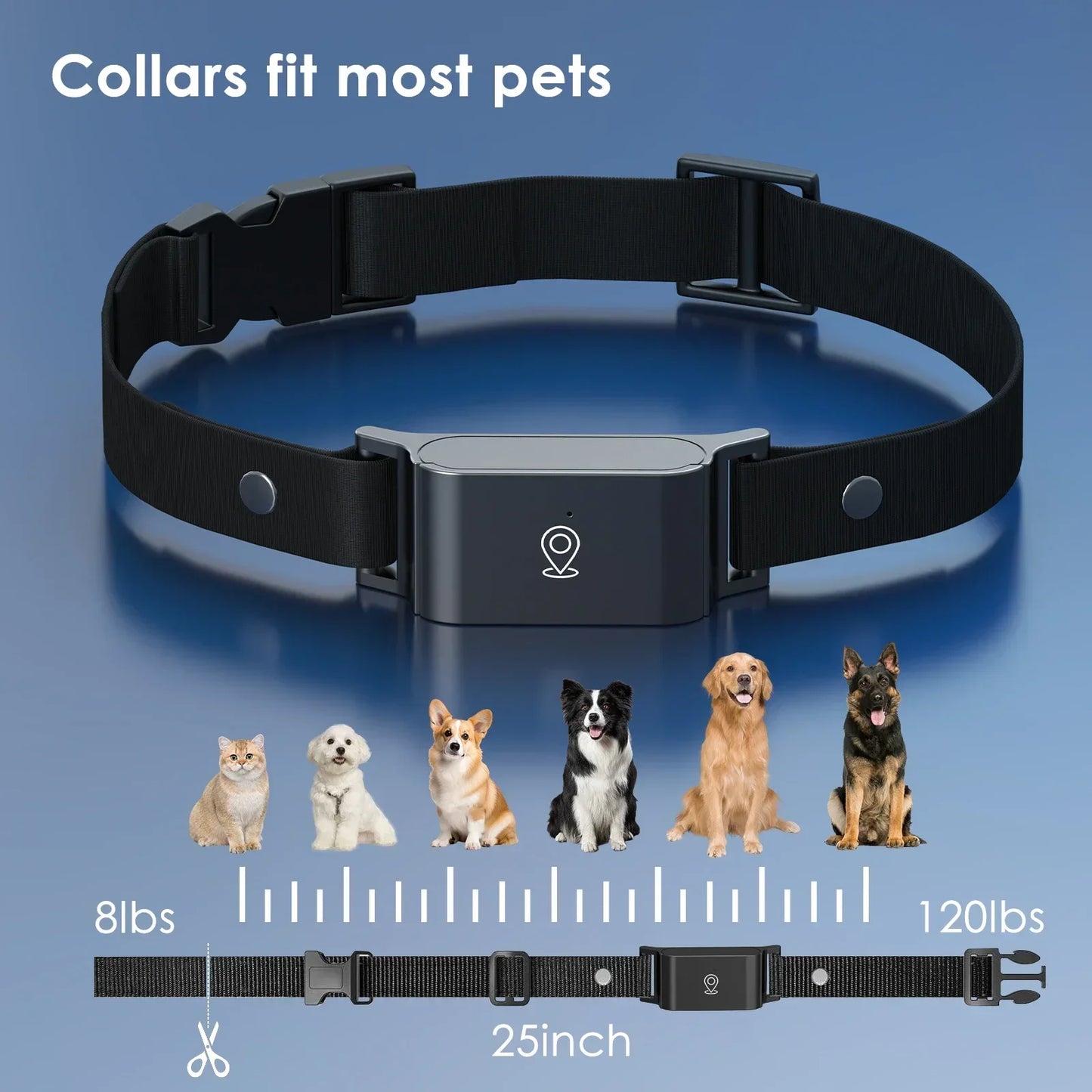 🐾 Collier GPS 4G Étanche IP67 – Traceur Mini pour Chiens et Chats